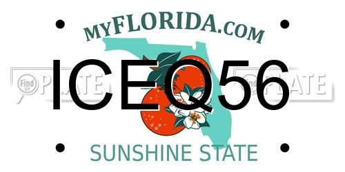 ICEQ56 Florida License Plate