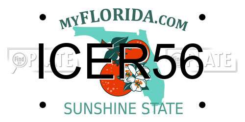 ICER56 Florida License Plate