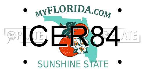 ICER84 Florida License Plate