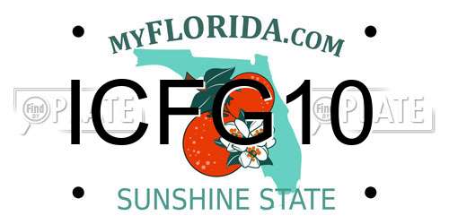 ICFG10 Florida License Plate