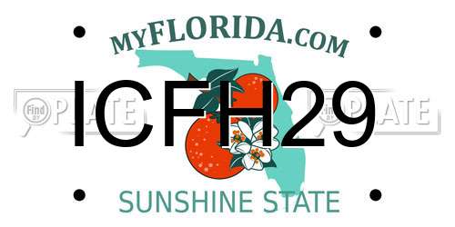ICFH29 Florida License Plate