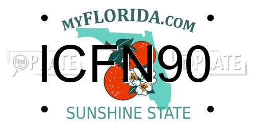 ICFN90 Florida License Plate