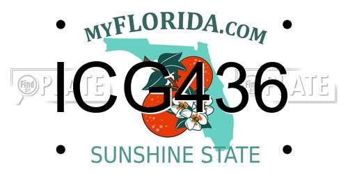 ICG436 Florida License Plate