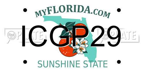 ICGP29 Florida License Plate