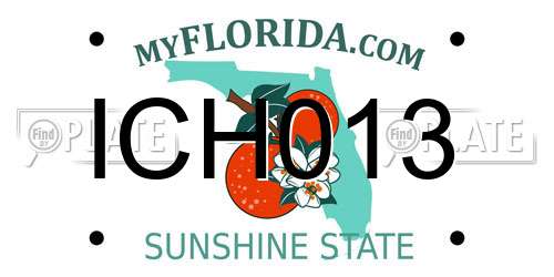 ICH013 Florida License Plate