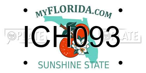 ICH093 Florida License Plate