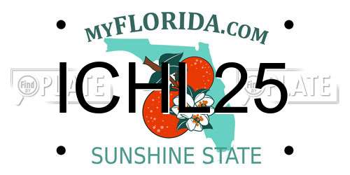 ICHL25 Florida License Plate