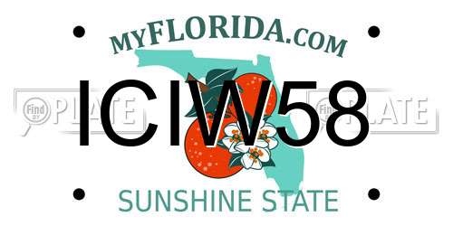 ICIW58 Florida License Plate