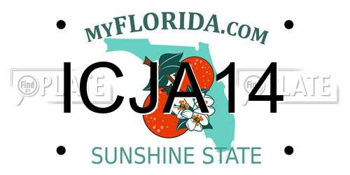 ICJA14 Florida License Plate