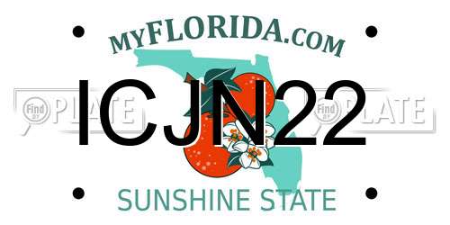 ICJN22 Florida License Plate