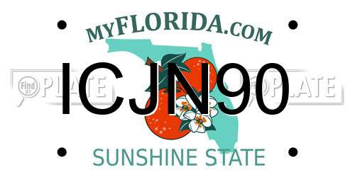 ICJN90 Florida License Plate