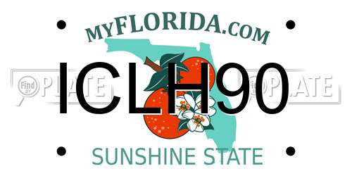 ICLH90 Florida License Plate