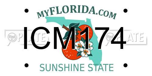 ICM174 Florida License Plate