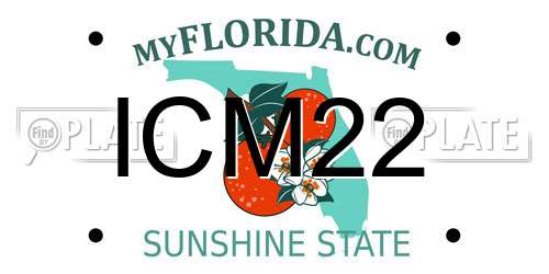 ICM22 Florida License Plate