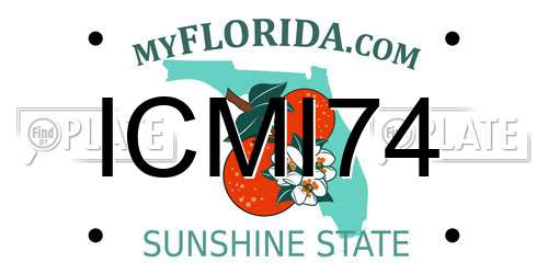 ICMI74 Florida License Plate