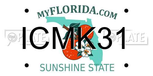 ICMK31 Florida License Plate