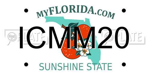 ICMM20 Florida License Plate