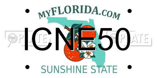 ICNE50 Florida License Plate