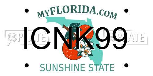 ICNK99 Florida License Plate