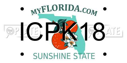 ICPK18 Florida License Plate