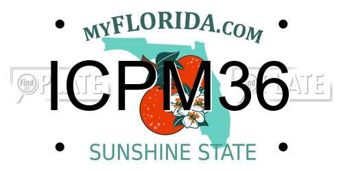 ICPM36 Florida License Plate