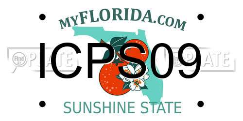 ICPS09 Florida License Plate