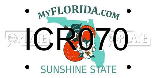 ICR070 Florida License Plate