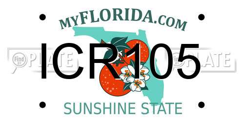 ICR105 Florida License Plate