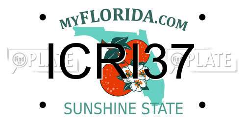 ICRI37 Florida License Plate