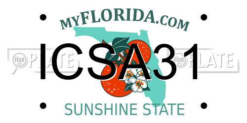 ICSA31 Florida License Plate