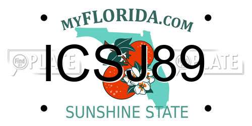 ICSJ89 Florida License Plate