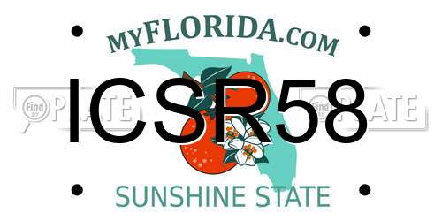 ICSR58 Florida License Plate