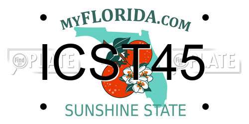 ICST45 Florida License Plate