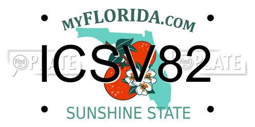 ICSV82 Florida License Plate