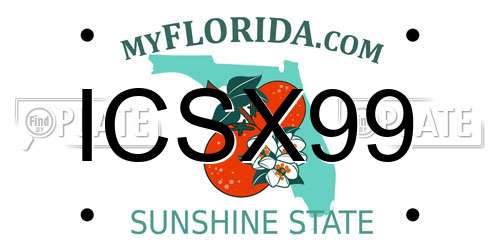 ICSX99 Florida License Plate