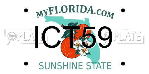 ICT59 Florida License Plate