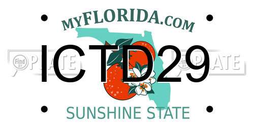 ICTD29 Florida License Plate