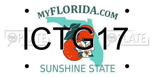 ICTG17 Florida License Plate