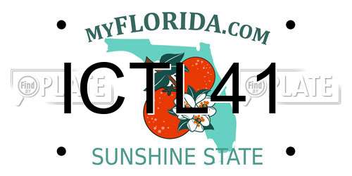 ICTL41 Florida License Plate