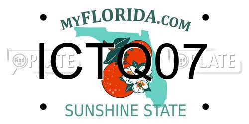 ICTQ07 Florida License Plate