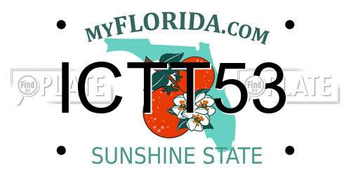 ICTT53 Florida License Plate