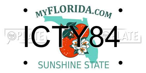 ICTY84 Florida License Plate