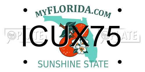 ICUX75 Florida License Plate