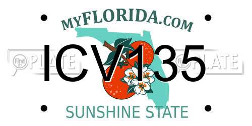 ICV135 Florida License Plate
