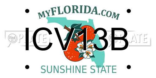 ICV13B Florida License Plate