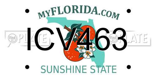 ICV463 Florida License Plate