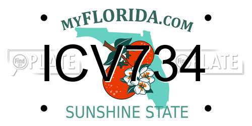 ICV734 Florida License Plate
