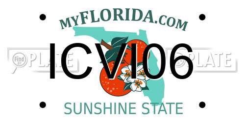 ICVI06 Florida License Plate