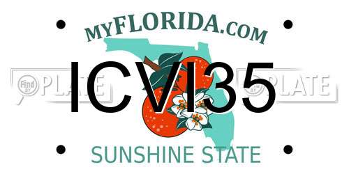 ICVI35 Florida License Plate