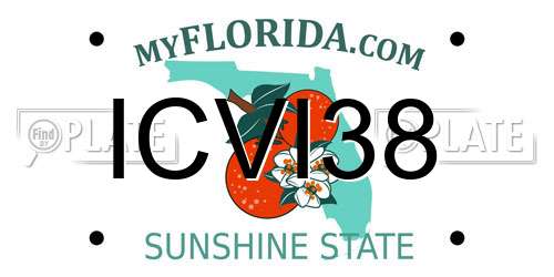 ICVI38 Florida License Plate